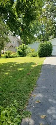 Daugherty's Lawn Care