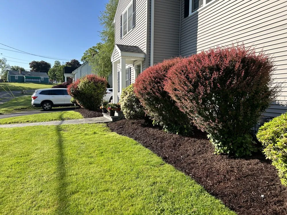 Reliable yard cleanup service in Milford, CT - Daughters Landscaping Services