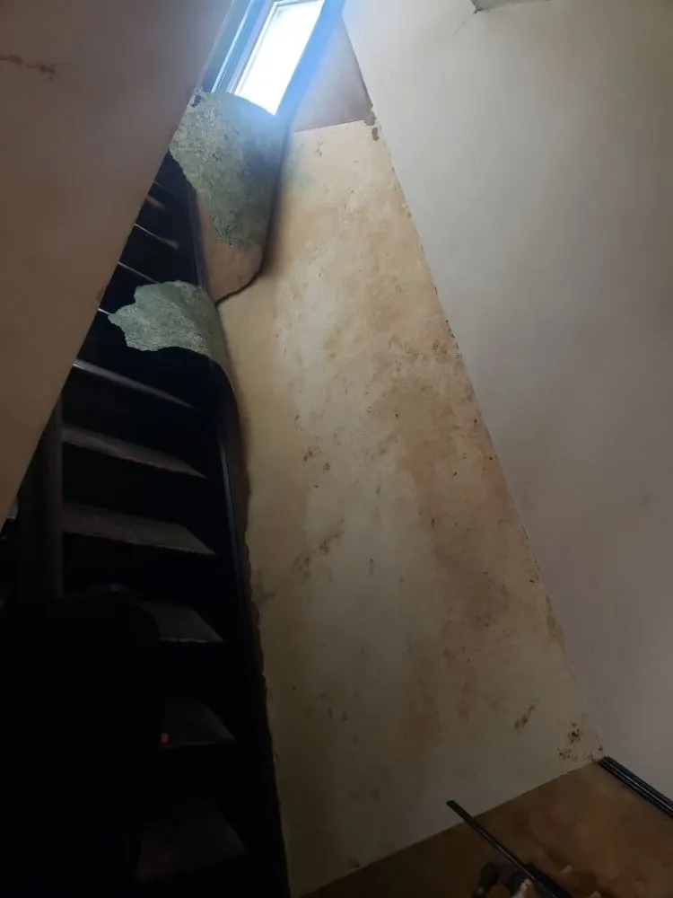 Custom lawn care service for outdoor upgrades across Minneapolis, MN - Dave & Family Painting