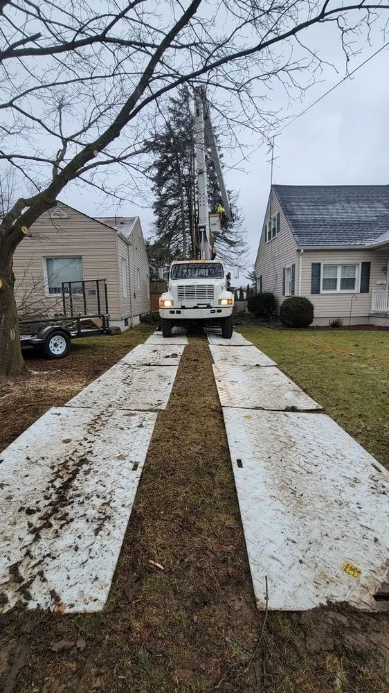 Affordable garden landscaping experts serving Pulaski, PA - Dave & Son Tree and Land Management