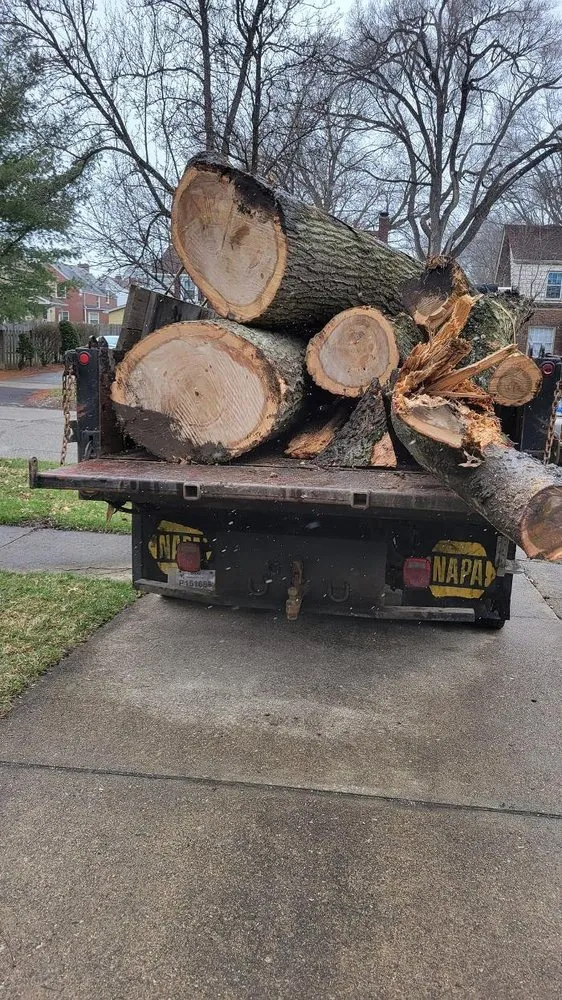 Reliable outdoor landscaping in Pulaski, PA - Dave & Son Tree and Land Management