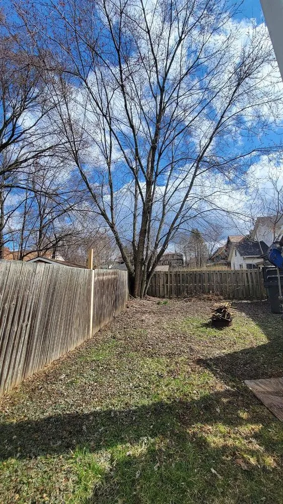 Top-rated landscaping services with custom design in Pulaski, PA by Dave & Son Tree and Land Management