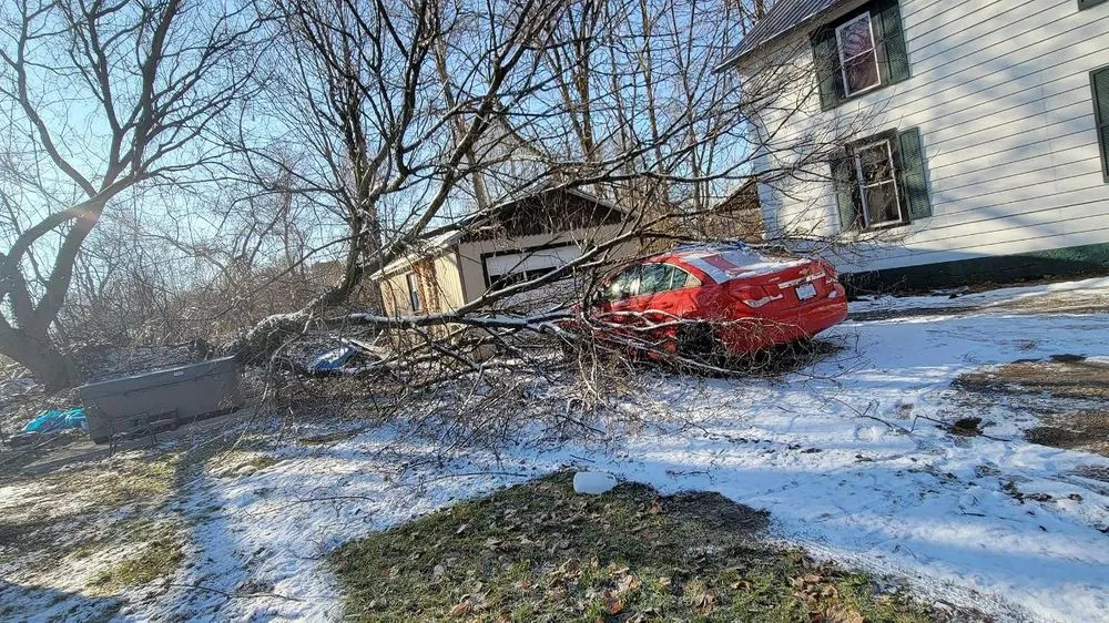 Professional garden landscaping experts serving Pulaski, PA - Dave & Son Tree and Land Management