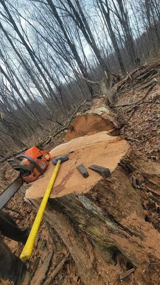 Local residential landscaping experts serving Pulaski, PA - Dave & Son Tree and Land Management