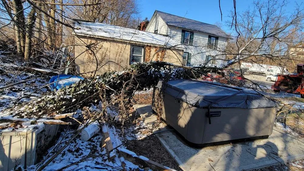 Local lawn care service experts serving Pulaski, PA - Dave & Son Tree and Land Management