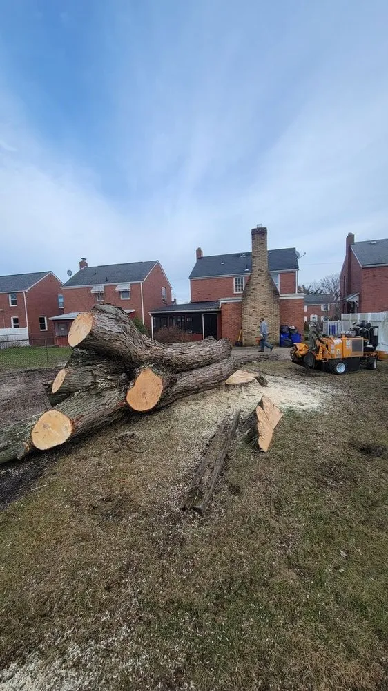 Professional lawn care service in Pulaski, PA by Dave & Son Tree and Land Management