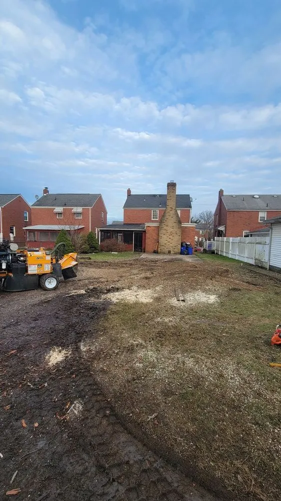 Custom residential landscaping experts serving Pulaski, PA - Dave & Son Tree and Land Management