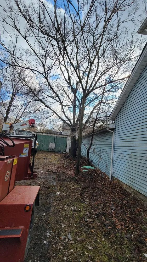 Affordable lawn care service experts serving Pulaski, PA - Dave & Son Tree and Land Management