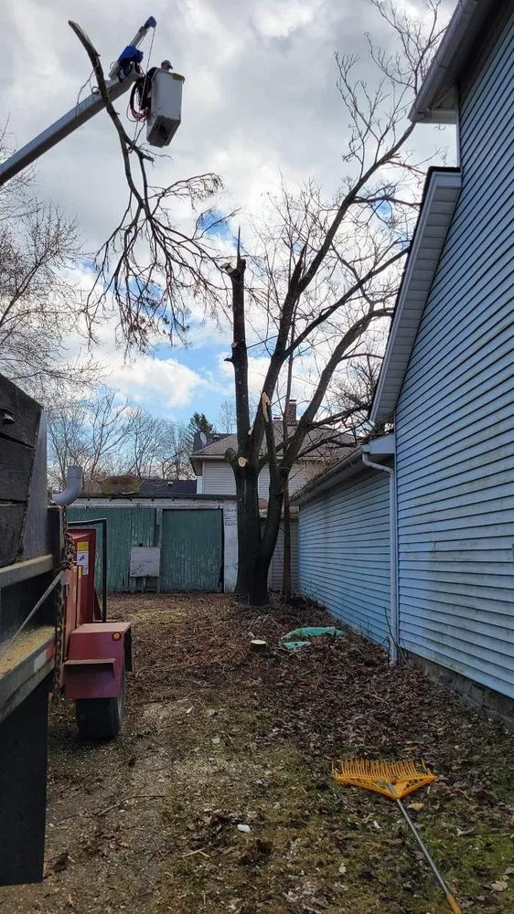 Custom lawn care service in Pulaski, PA - Dave & Son Tree and Land Management