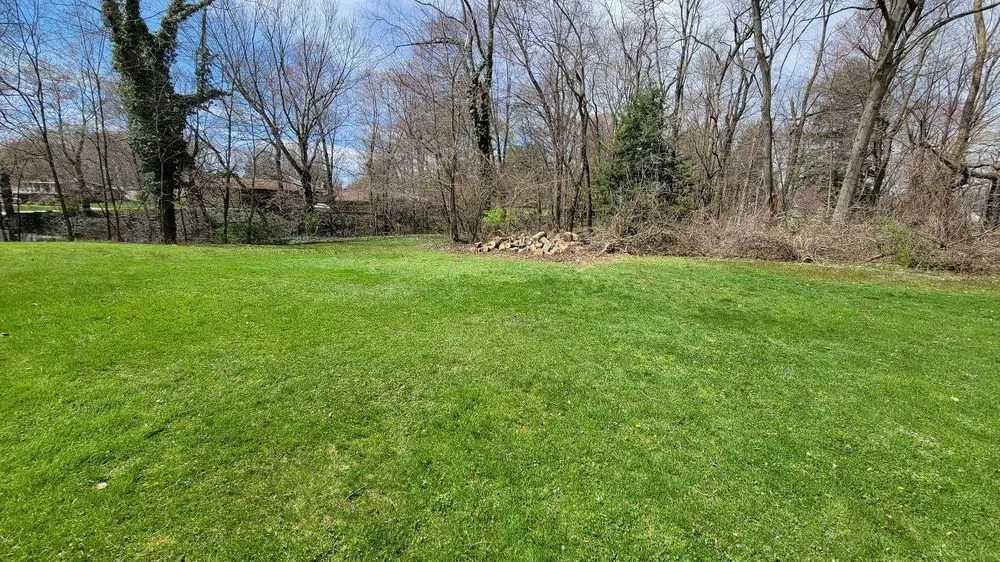 Reliable lawn mowing service in Pulaski, PA - Dave & Son Tree and Land Management