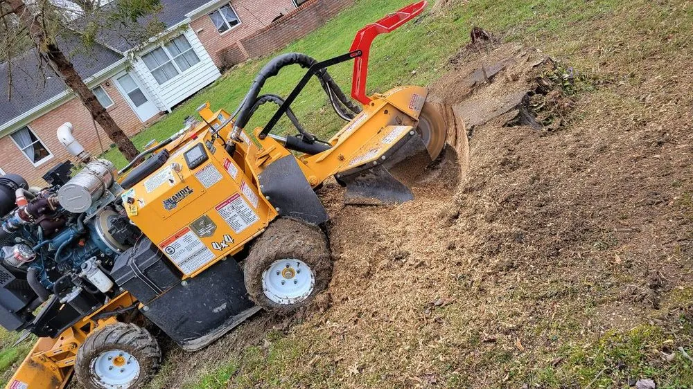 Affordable yard maintenance in Pulaski, PA - Dave & Son Tree and Land Management