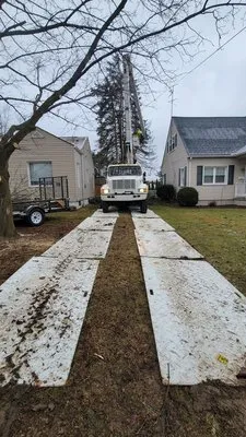 Dave & Son Tree and Land Management