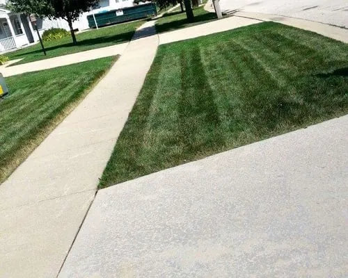 Dave and Logan Lawncare Logo