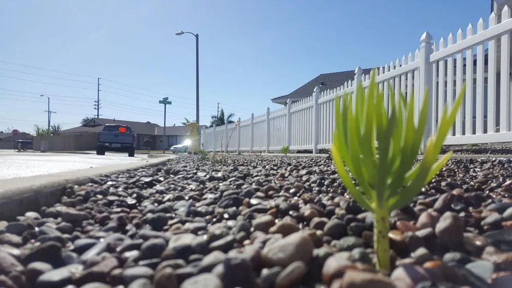 Trusted lawn mowing service in Huntington Beach, CA by Dave and Sons Landscaping and Bobcat Services