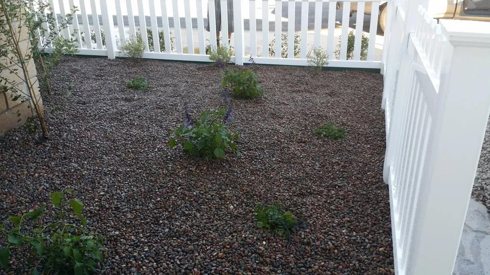 Reliable landscaping services in Huntington Beach, CA by Dave and Sons Landscaping and Bobcat Services