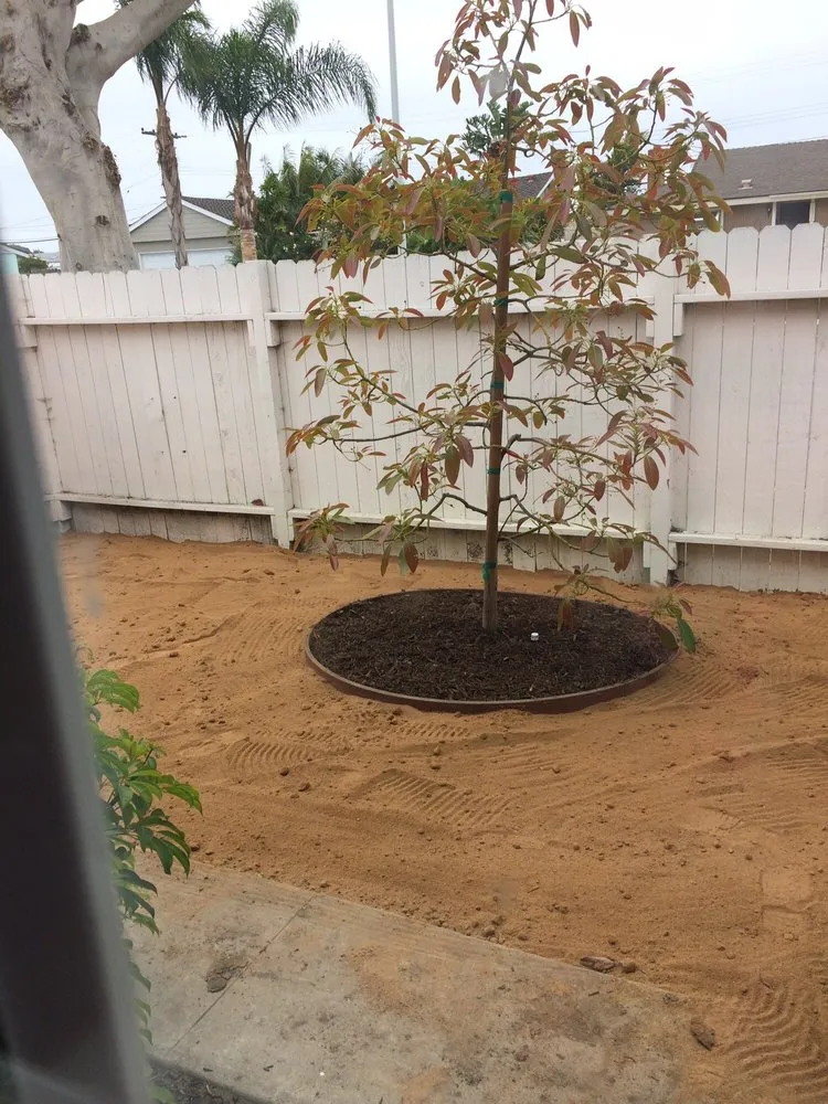 Custom landscaping services for homes in Huntington Beach, CA by Dave and Sons Landscaping and Bobcat Services