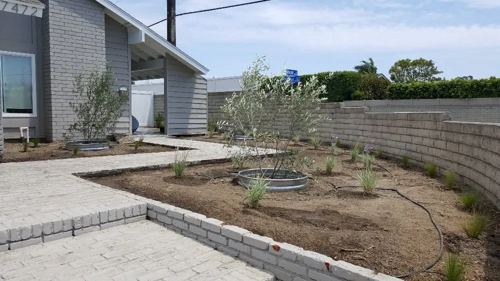 Expert outdoor landscaping for beautiful yards in Huntington Beach, CA by Dave and Sons Landscaping and Bobcat Services