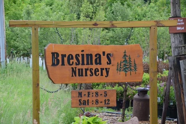 Professional landscaping services in Chippewa Falls, WI - Dave Bresina's Nursery