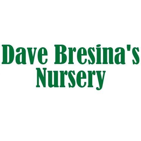 Affordable outdoor landscaping near you across Chippewa Falls, WI - Dave Bresina's Nursery