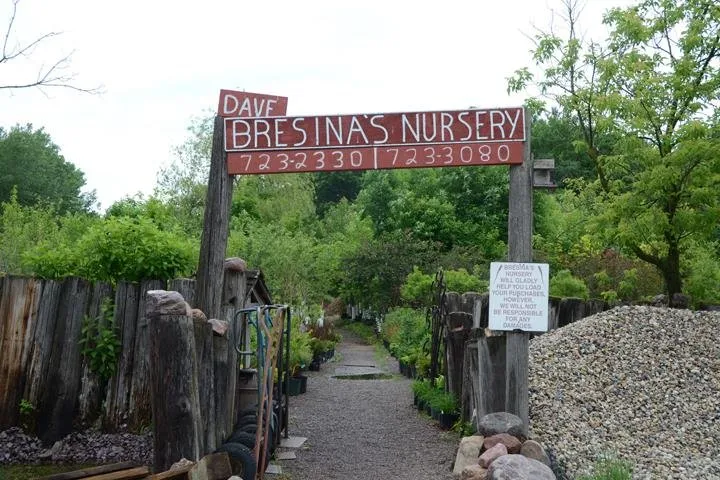 Professional residential landscaping for beautiful yards across Chippewa Falls, WI - Dave Bresina's Nursery