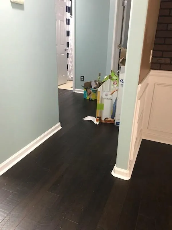 Professional lawn care service near you in Auburn, GA by Dave Does It All