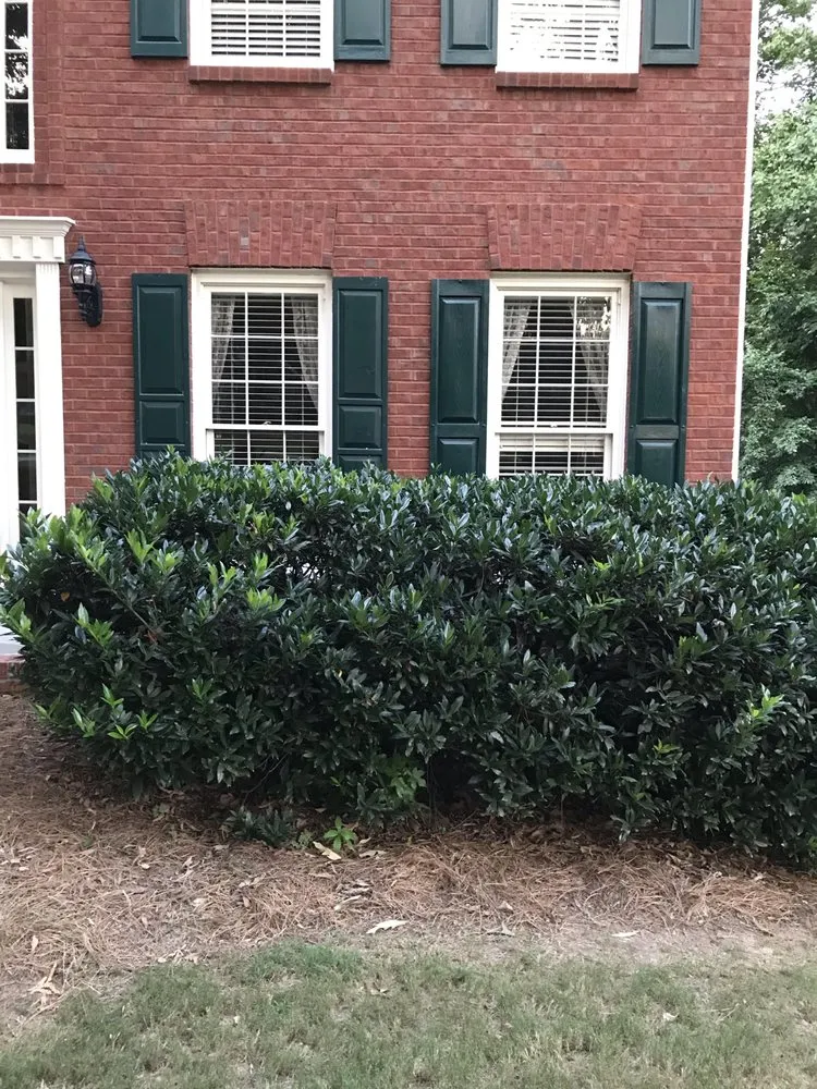 Trusted residential landscaping in Auburn, GA by Dave Does It All