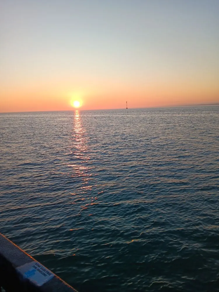 Professional yard maintenance in Detroit, MI by Dave Green Care