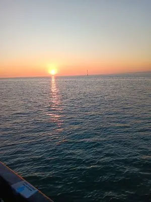 Dave Green Care Logo