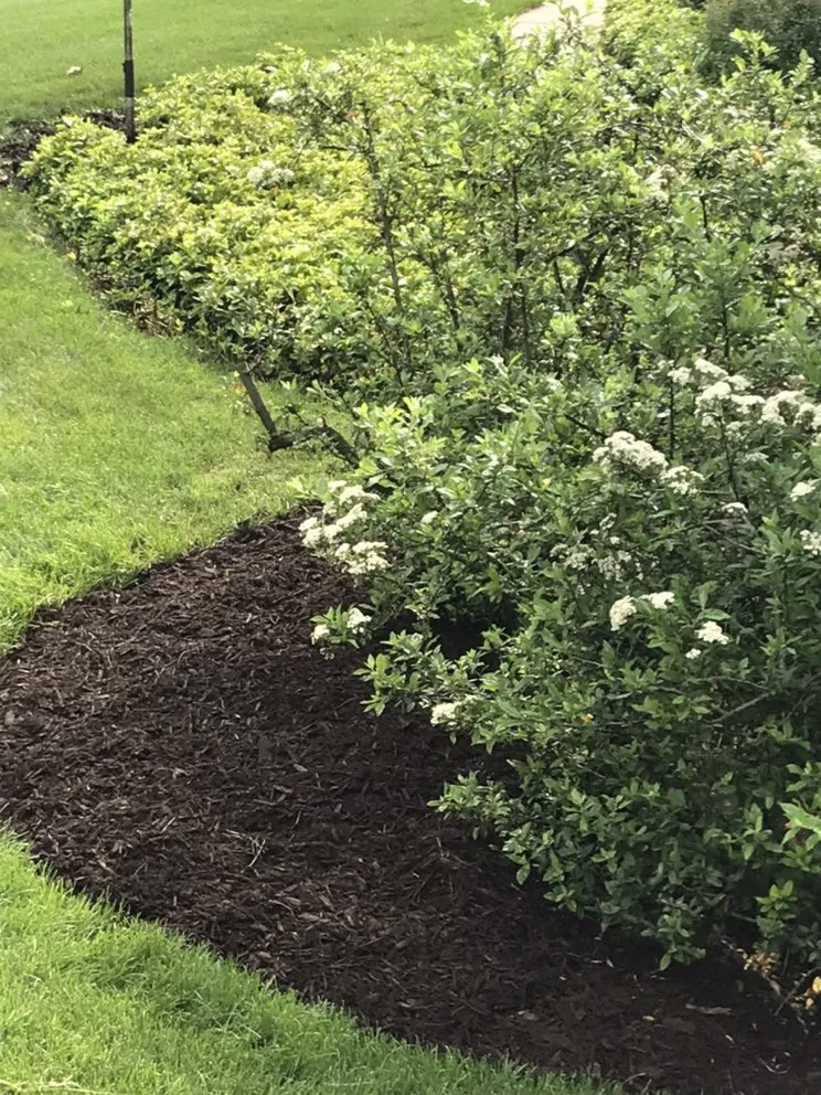 Affordable landscape installation in Elkhart, IN - Dave Gunn Lawn Service