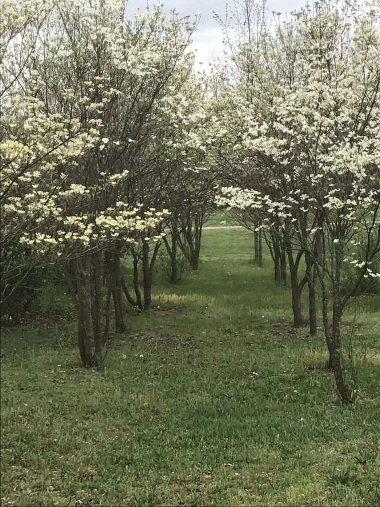 Affordable lawn care service in Elkhart, IN by Dave Gunn Lawn Service