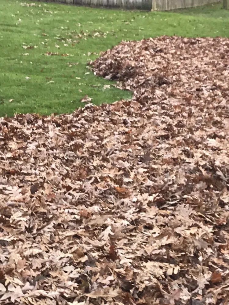 Expert yard maintenance for homes in Elkhart, IN by Dave Gunn Lawn Service