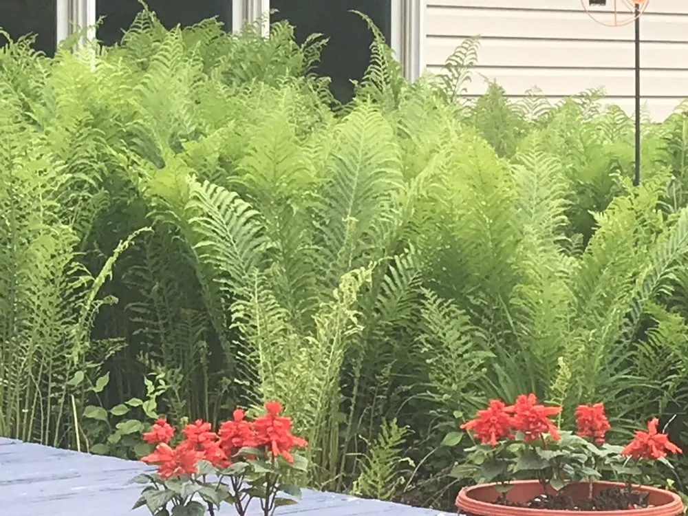 Custom landscape design experts serving Elkhart, IN - Dave Gunn Lawn Service