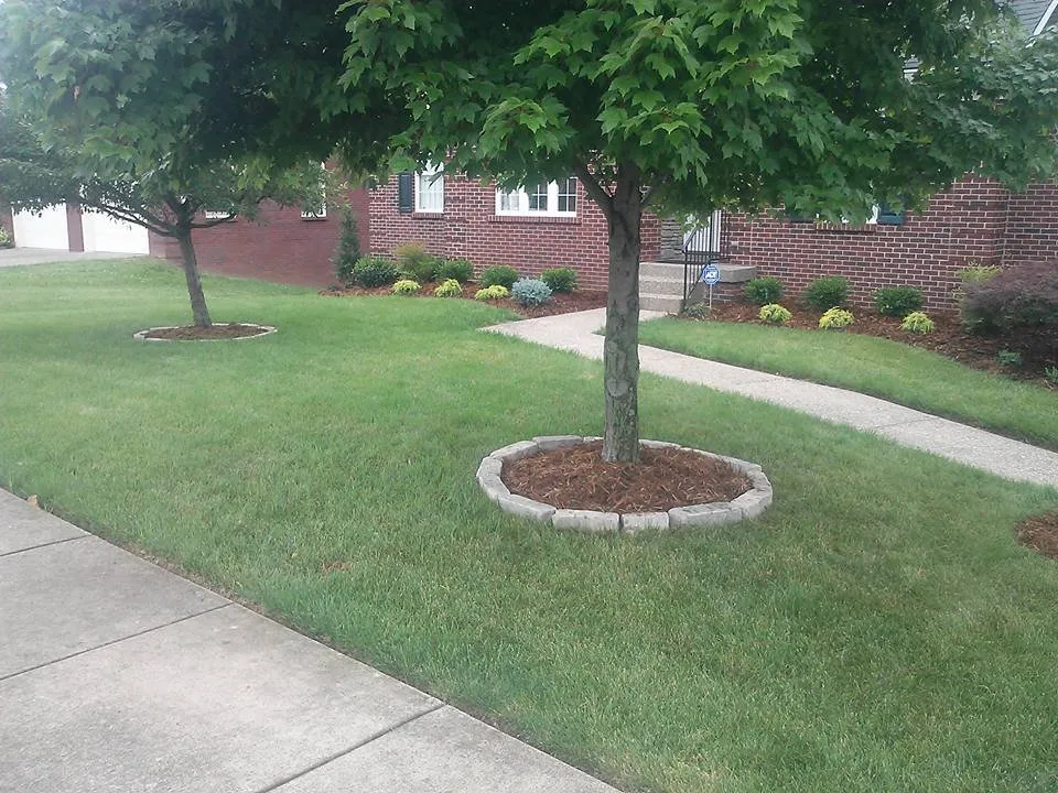 Top-rated outdoor landscaping with custom design across New Albany, IN - Dave Hartley Landscaping