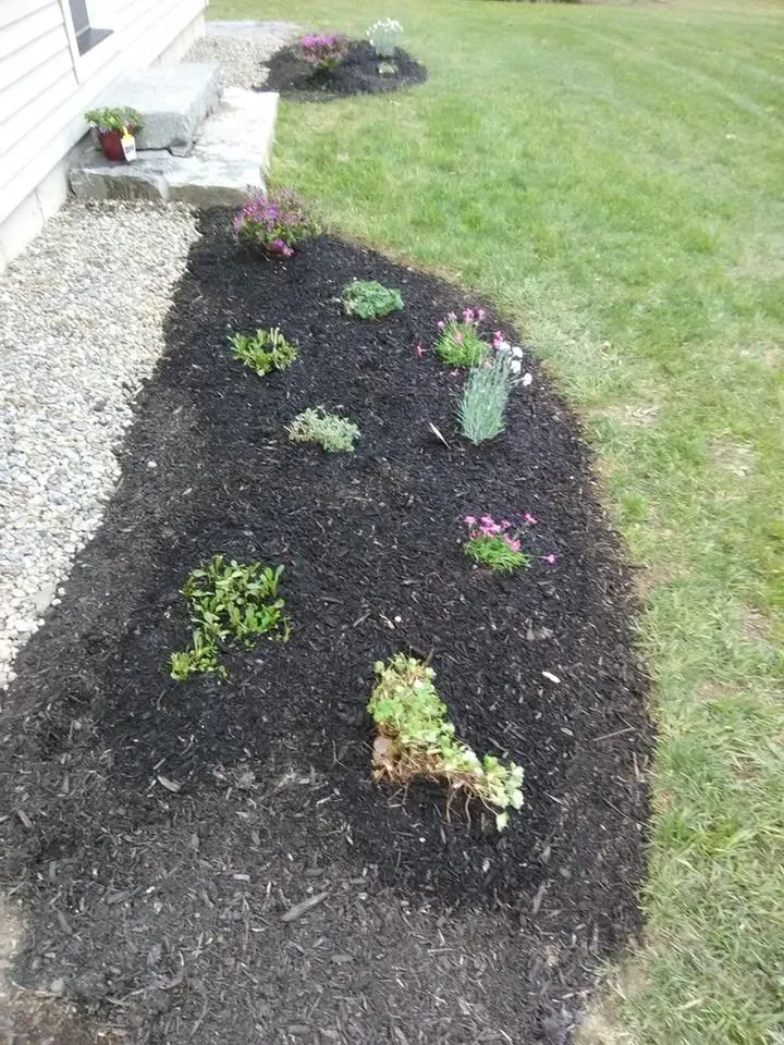 Custom yard cleanup service in Alna, ME - Dave Kelley And Sons Property Services