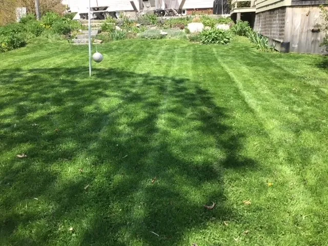 Professional landscape installation in Alna, ME by Dave Kelley And Sons Property Services