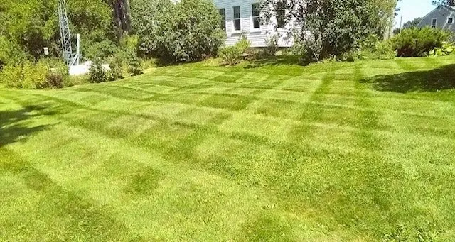 Trusted yard maintenance in Alna, ME - Dave Kelley And Sons Property Services