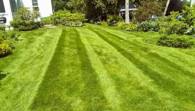 Expert landscape design experts serving Alna, ME - Dave Kelley And Sons Property Services
