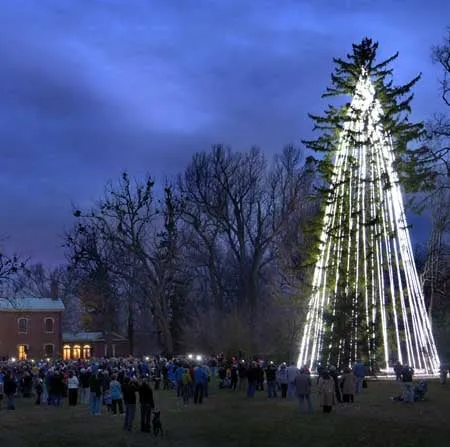 Local garden landscaping for outdoor upgrades across Lexington, KY - Dave Leonard Tree Specialists