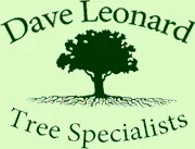 Affordable landscaping services in Lexington, KY by Dave Leonard Tree Specialists