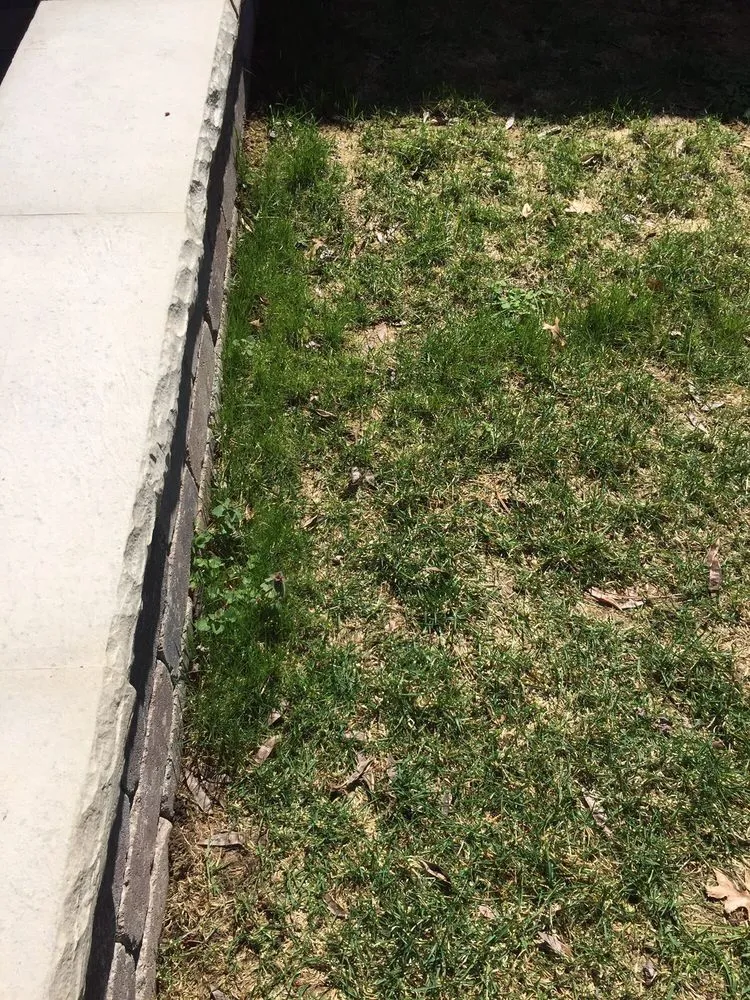 Professional outdoor landscaping for homes in Plymouth, IN by Dave Murphy Landscape