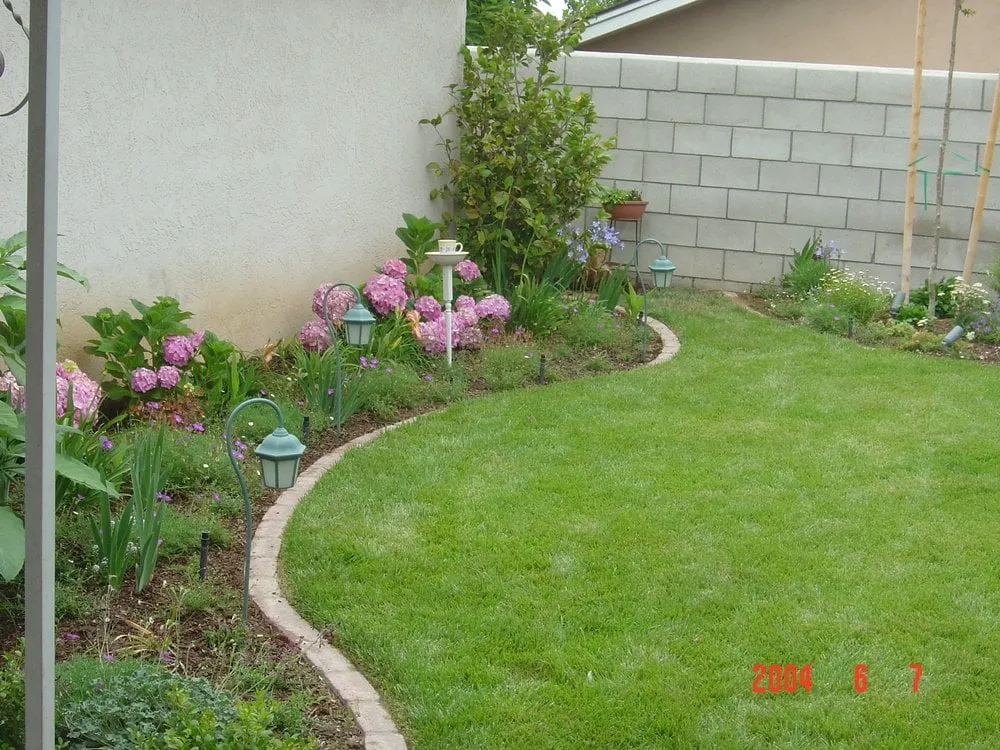 Top-rated landscaping services experts serving San Diego, CA - Dave Suda Landscape
