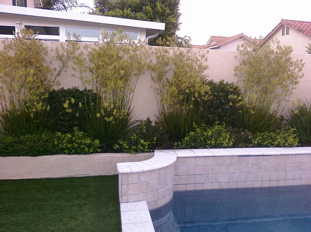 Top-rated landscape design for homes in San Diego, CA by Dave Suda Landscape
