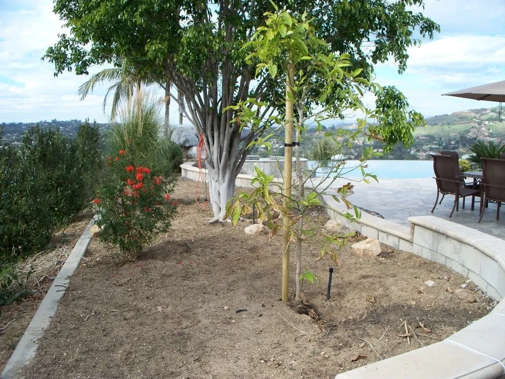 Top-rated yard maintenance experts serving San Diego, CA - Dave Suda Landscape