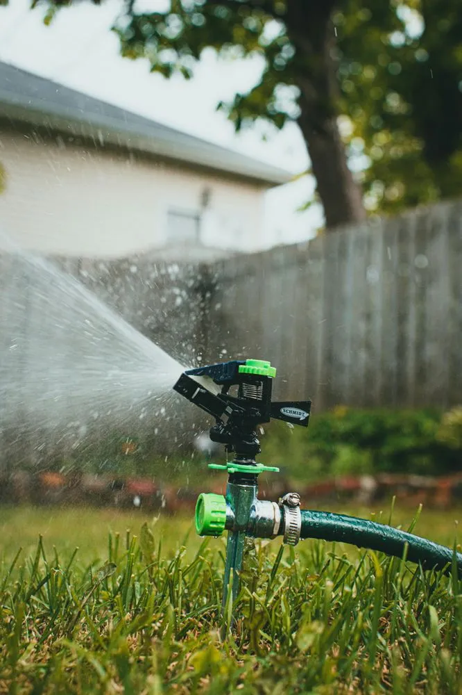 Local yard maintenance in Davenport, FL - Davenport Green
