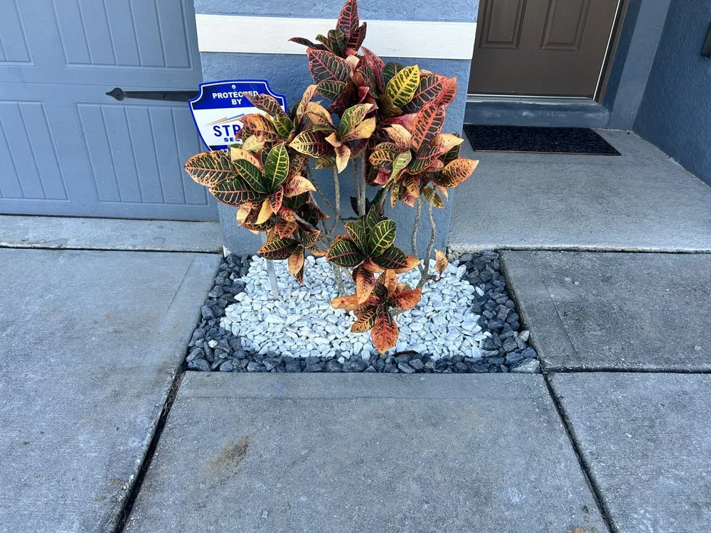 Custom outdoor landscaping for outdoor upgrades across Davenport, FL - Davenport Green