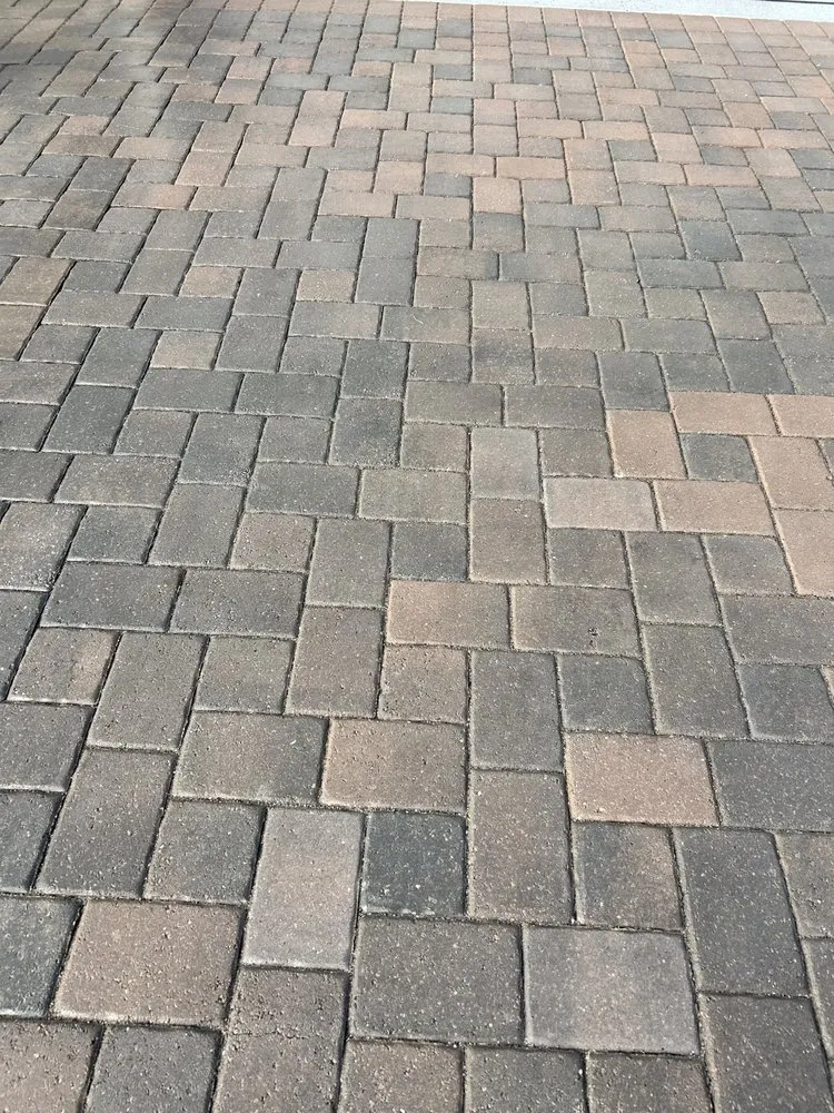 Affordable landscape design in Davenport, FL by Davenport Green