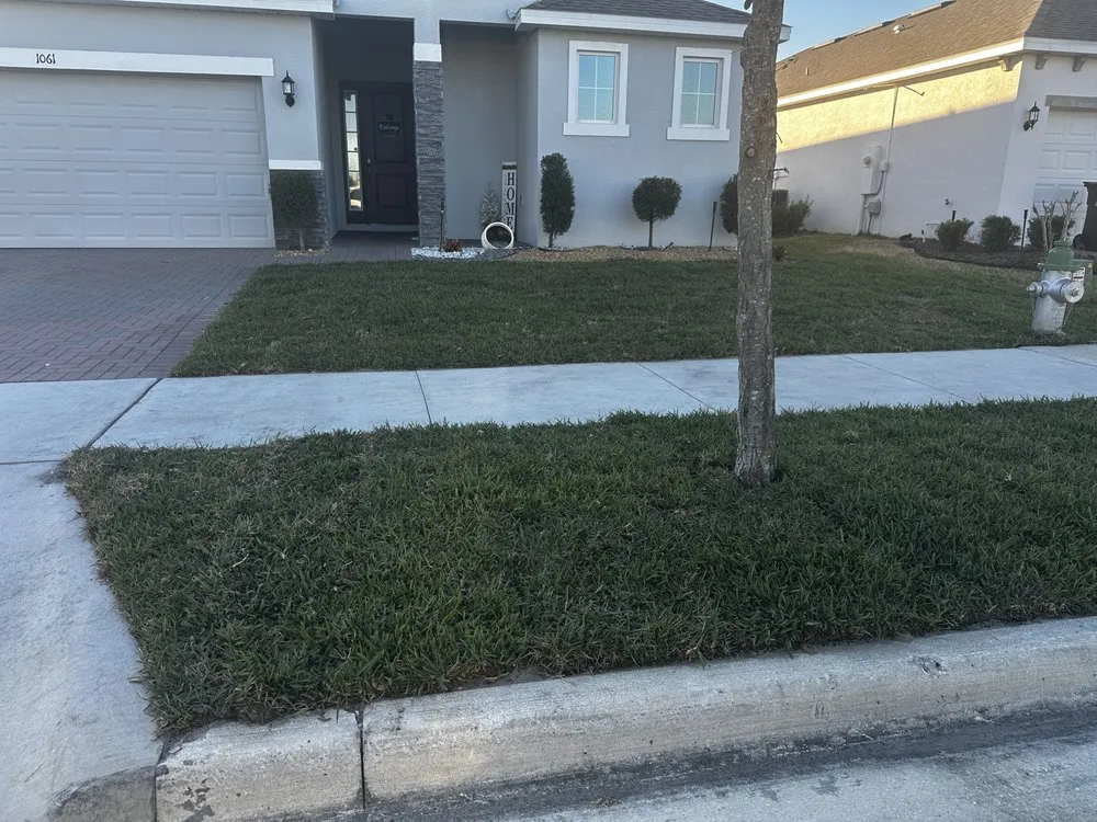 Reliable lawn mowing service experts serving Davenport, FL - Davenport Green