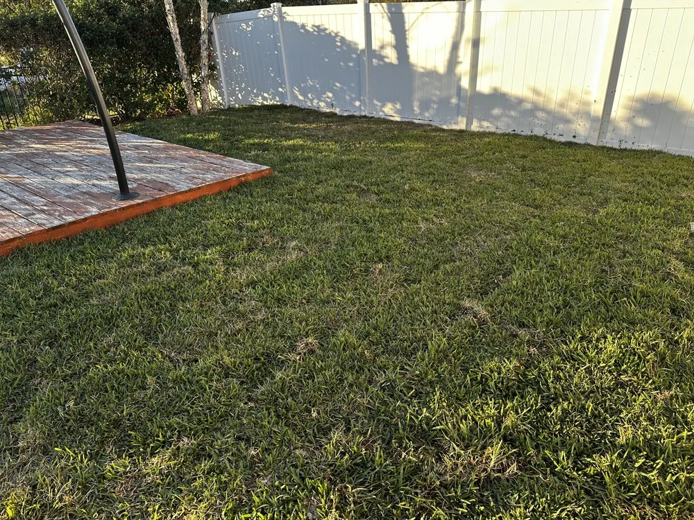 Expert landscaping services experts serving Davenport, FL - Davenport Green