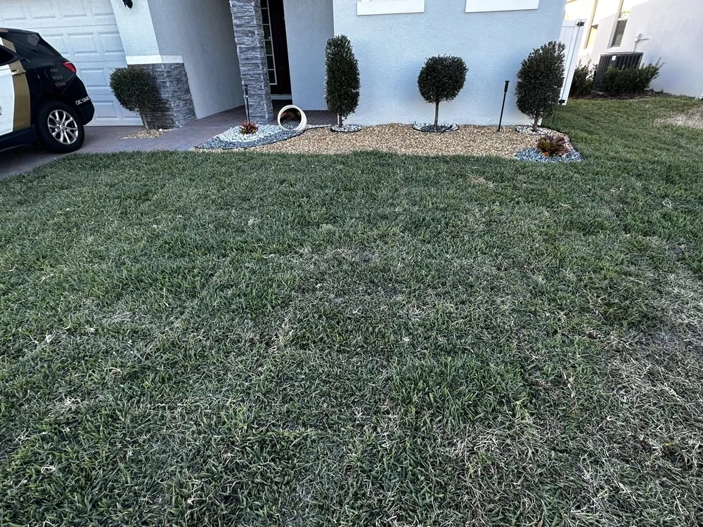 Trusted lawn care service for outdoor upgrades across Davenport, FL - Davenport Green