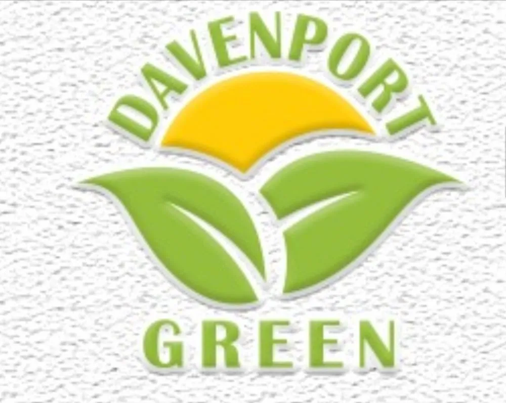 Top-rated landscape installation near you across Davenport, FL - Davenport Green